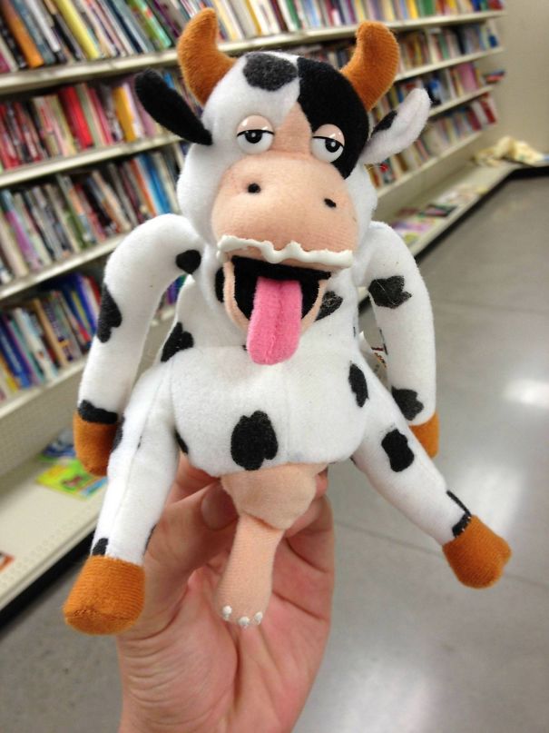 Thrift Store Find, What The Hell