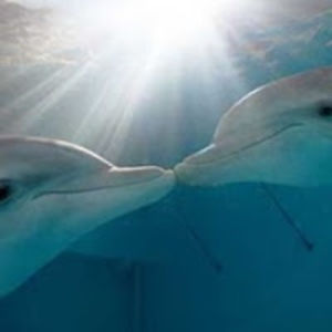 savannahbowen avatar