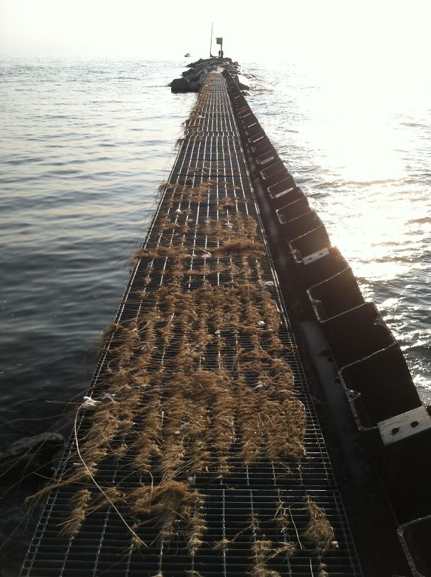 This Bay Wall Looks Like A Guitar Neck