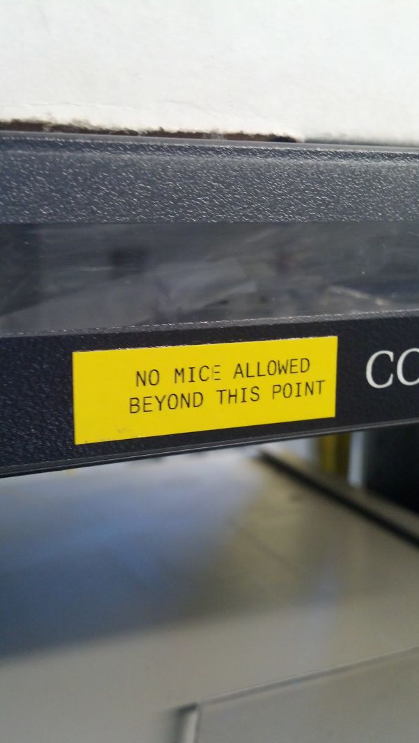 My Boss Told Me To Find A Way To Keep Mice Out Of Our Cable Tray. I Think This Should Work