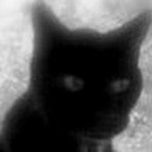 patriciasweeton avatar