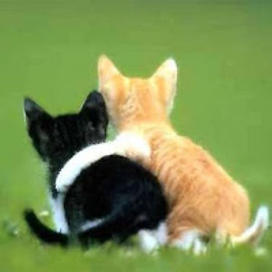 clairewankiewicz_1 avatar