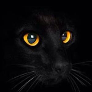 susan_southerland2_ok avatar