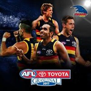 shanetrussell45 avatar