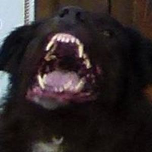 streetlord_2002 avatar