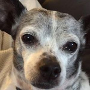 maureen_lederer avatar