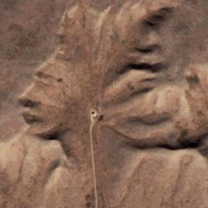 jerrygalnares avatar