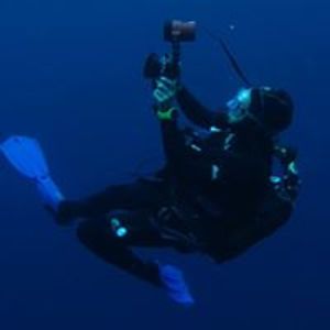 confused_chicken avatar