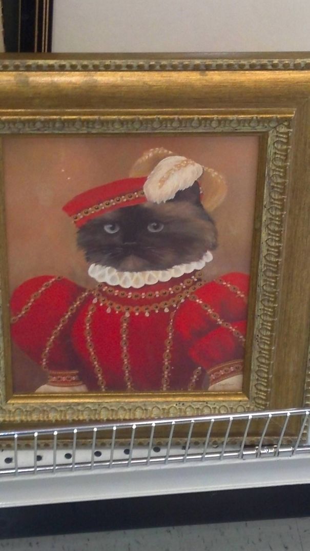 Saw This At A Local Thrift Store, So Tempting To Buy It