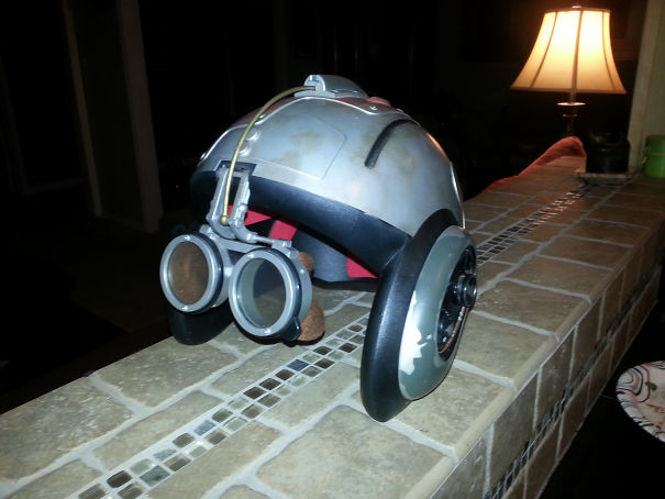 $3 Find At The Goodwill