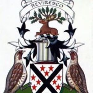 francisp_maxwell_1 avatar