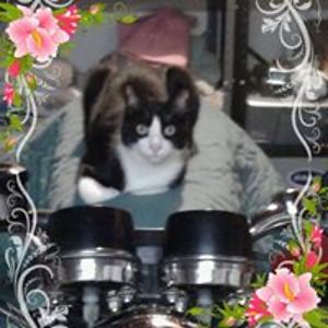 anna_blake_13 avatar