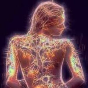 cj_kelly_miramar avatar