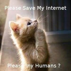 phantomgreenie avatar