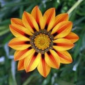 ibrahimsohail76 avatar