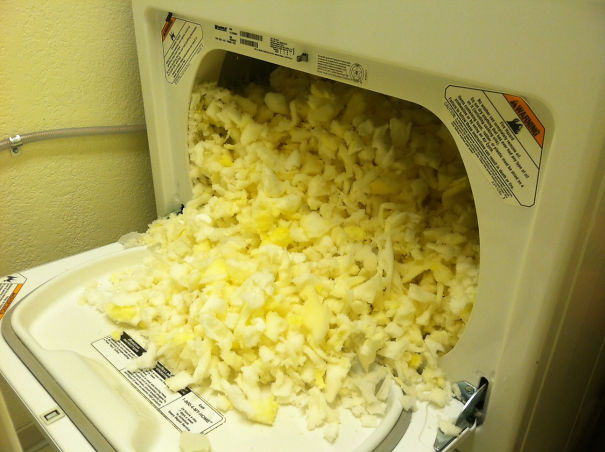 My Girlfriend Thought It Was A Good Idea To Put The Dog Bed In The Dryer