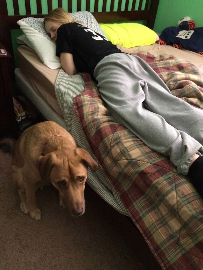 My Girlfriend Is Sick And Our Boy Skipper Won't Leave Her Side