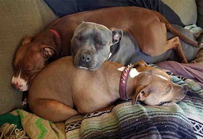 Went Home Sick Yesterday, This Was My Feel Better Crew All Afternoon