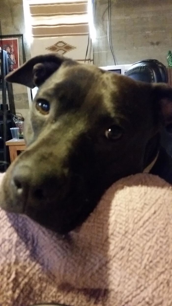 I Was Sick And My Girl Wanted To Make Sure I Was Ok