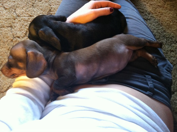 Today I Came Home Sick. They Did What They Could