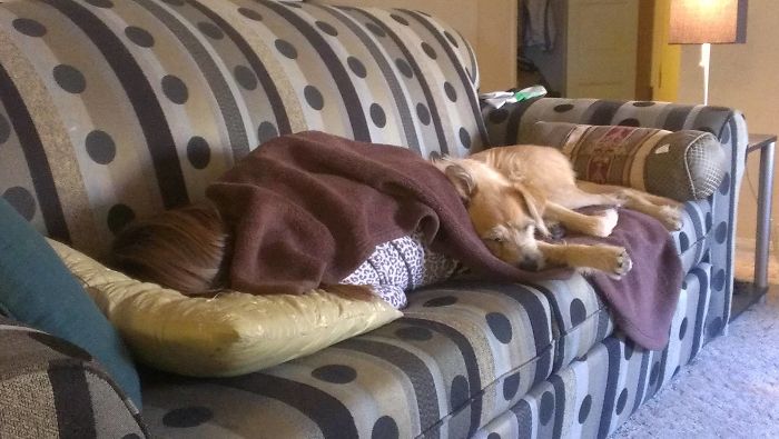 My Daughter Is Sick Today, Baxter Is There For Her