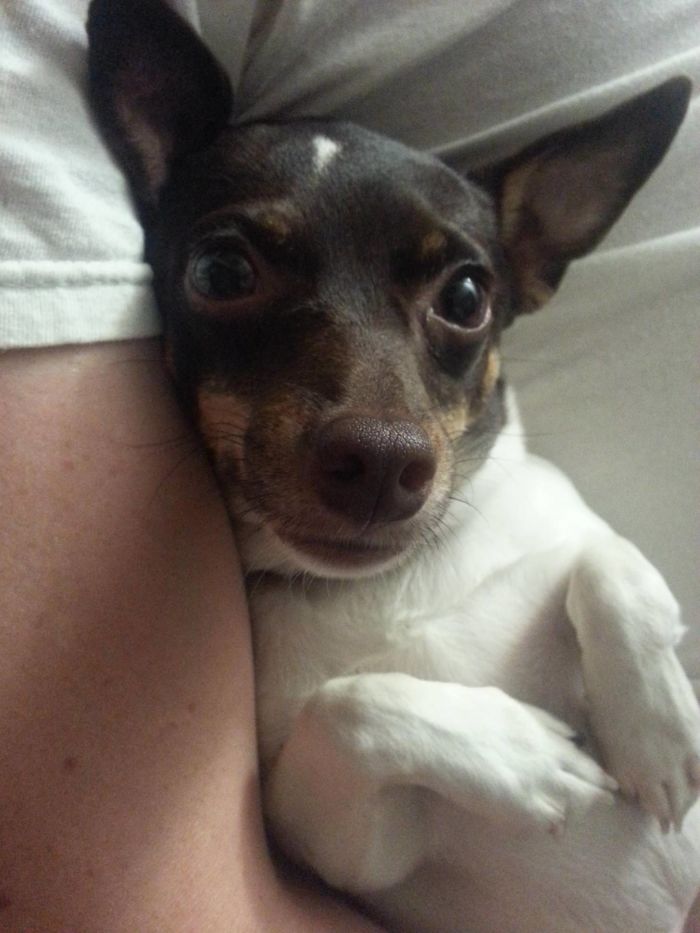 At Least If I'm Stuck Home Sick I Have This Face To Look At