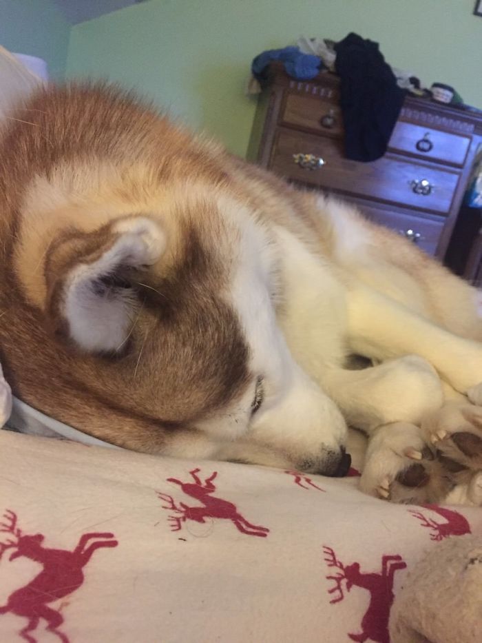 Wife’s Sick, In Bed And Look Who’s In My Spot