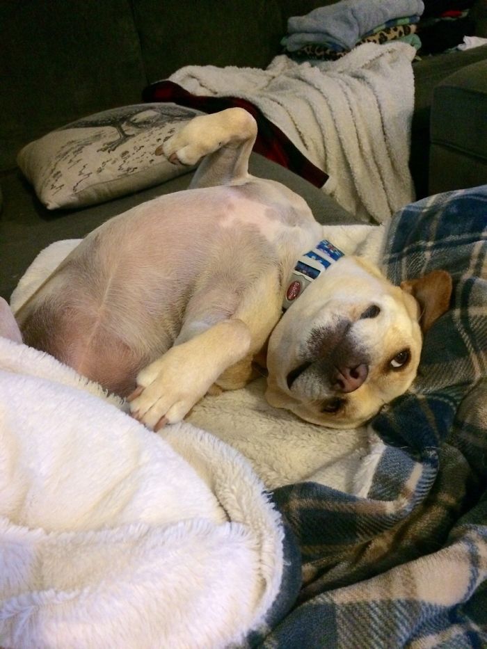 I See You're Home Sick. What Are We Going To Do Today, Dad?