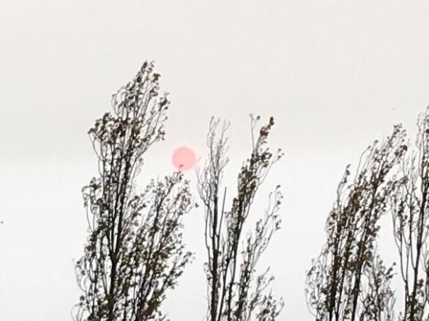 This Photo My Uncle Took Of A Sunset Looks Like A Japanese Painting