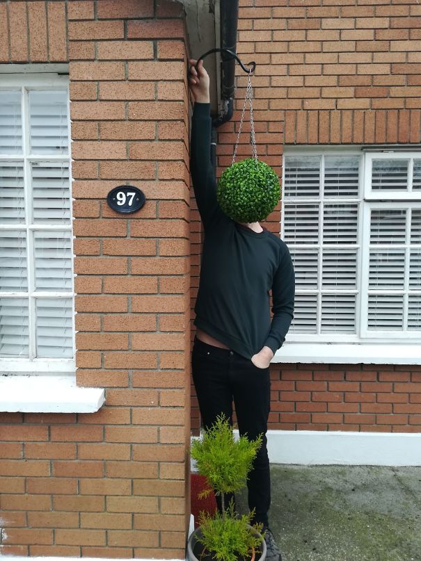 Wanted To See What A Plant Would Look Like Before I Hung It. Forgot To Get Out Of The Way. Accidental Surrealism