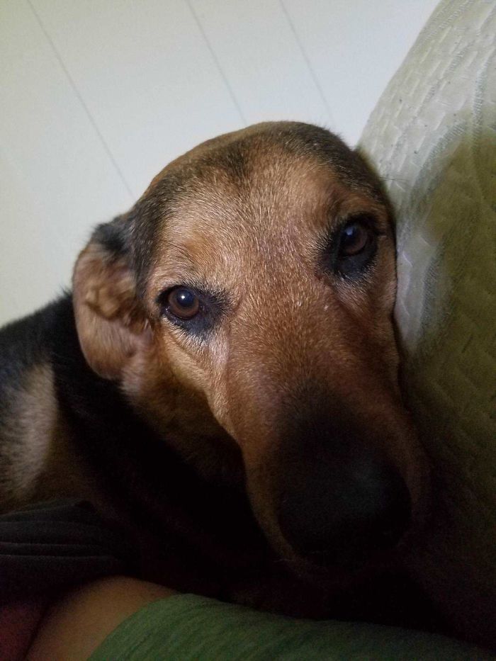 Took The Day Off Because I'm Not Feeling Well. She's Making Sure I'm OK