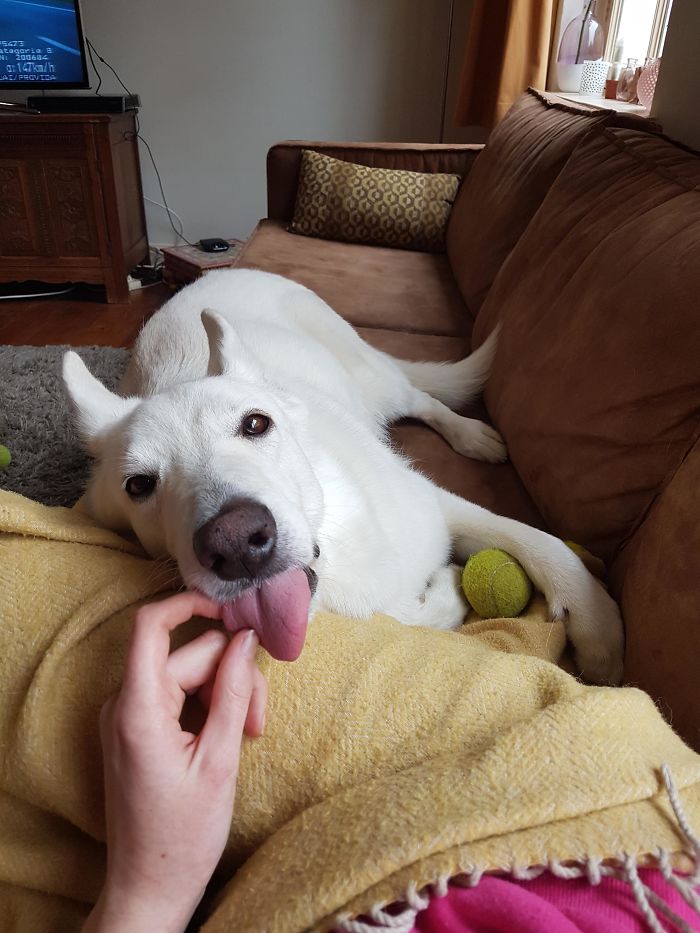 She Always Cares For Me When I Feel Ill