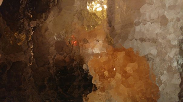 This Picture I Took Of My Cat Behind The Window Looks Like An Oil Painting