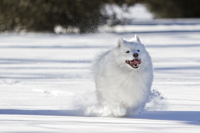 Snow Is Her Playground