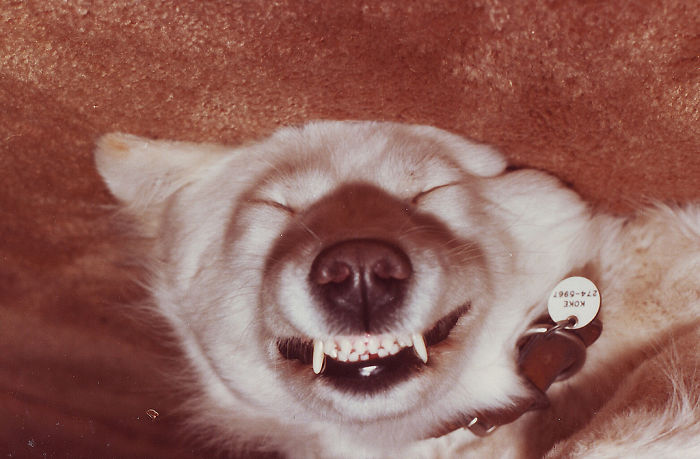 Sleeping Upside Down