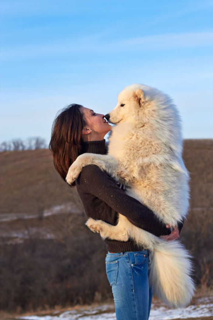 Elena And Samoyed Dog
