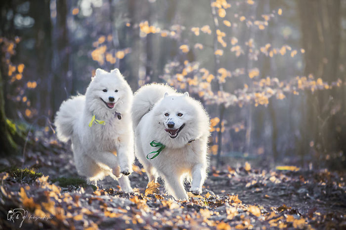 Smile From Ear To Ear