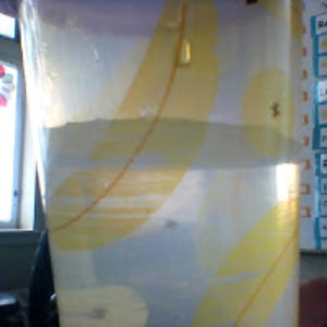 erinsutherland avatar