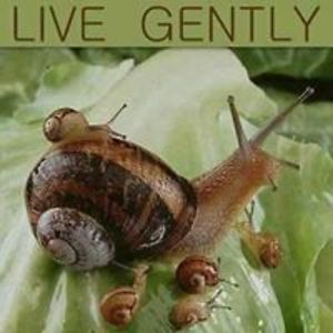 nicolajandrew avatar