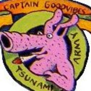 jollywally001 avatar