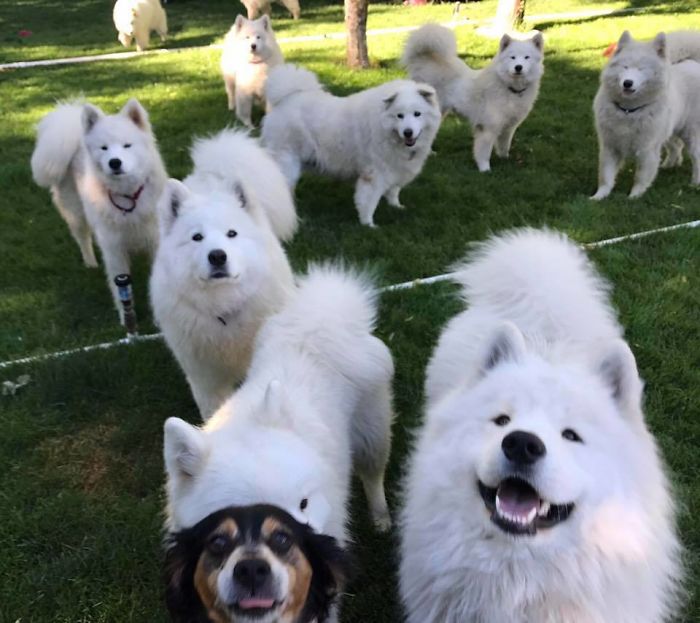 You Came To The Right Neighborhood, Friend