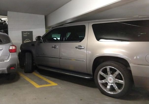 In Rare Incident, Suburban Man Claims He's Smaller Than He Actually Is