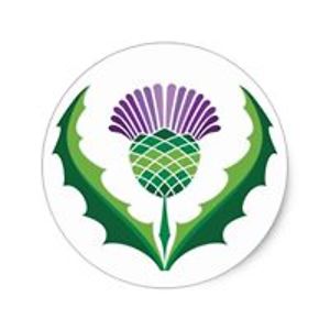 christinebrouwer1964 avatar