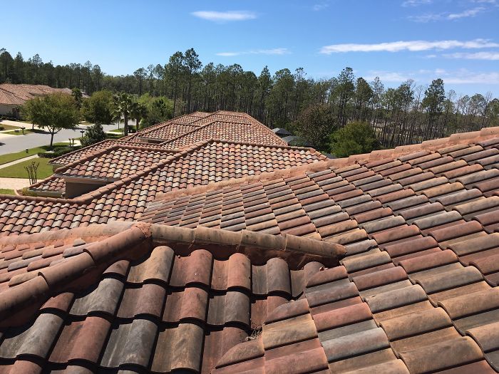 Fifth Roof Of The Day. It's That Time Of Year Guys, Business Is Booming And Life Is Good