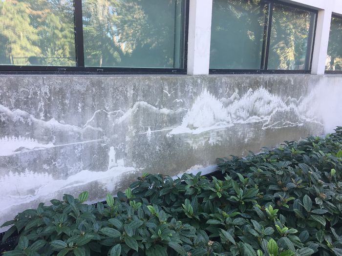Some Powerwashing Art On Campus