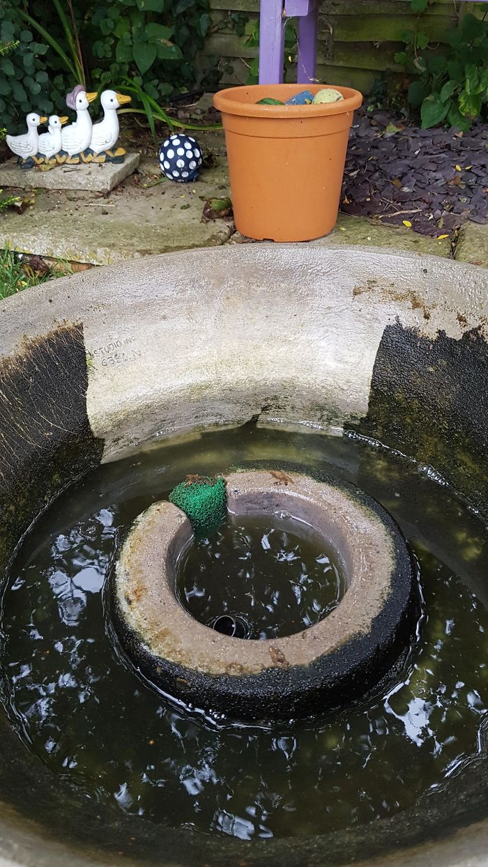 Started Washing The Water Fountain In My Back Garden