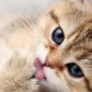 hunterdavidson avatar