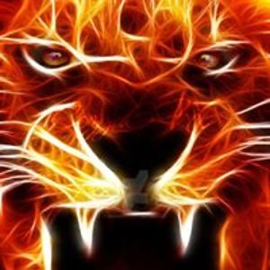 haq_mola_ali2 avatar