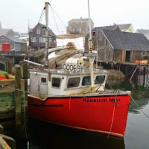 burntgrilledcheese avatar