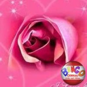 tigerlili1971 avatar